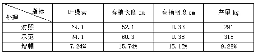 領先生物“海藻+氮磷鉀+腐植酸”讓果樹旺起來